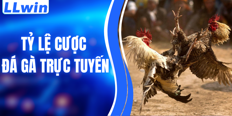 Tỷ lệ Cược Đá Gà Trực Tuyến – Cập Nhật Chuẩn Xác, Dễ Hiểu